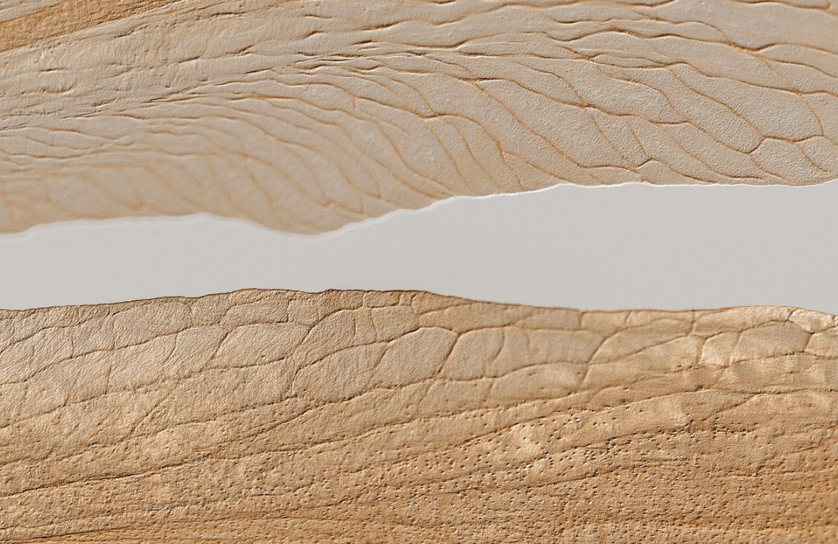 Organic Leather Sand Inductiebeschermer