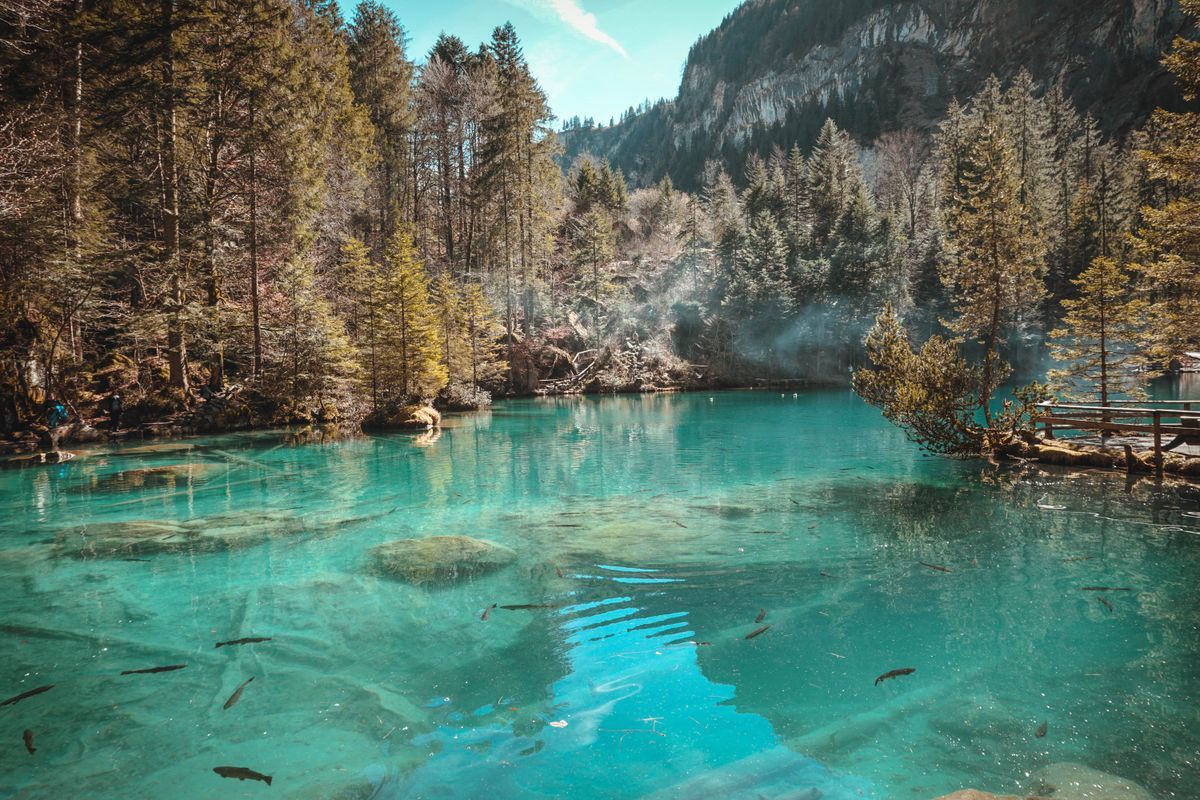 Turquoise Lagoon Inductiebeschermer