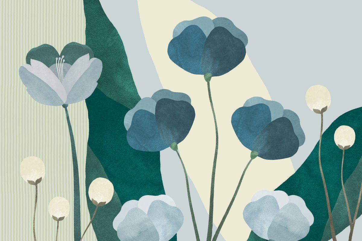 Blue Whispers Inductiebeschermer
