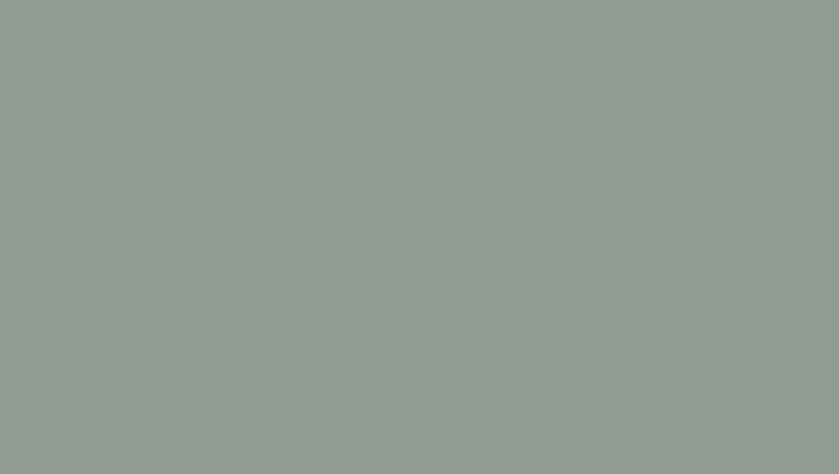 Iceberg Green Inductiebeschermer