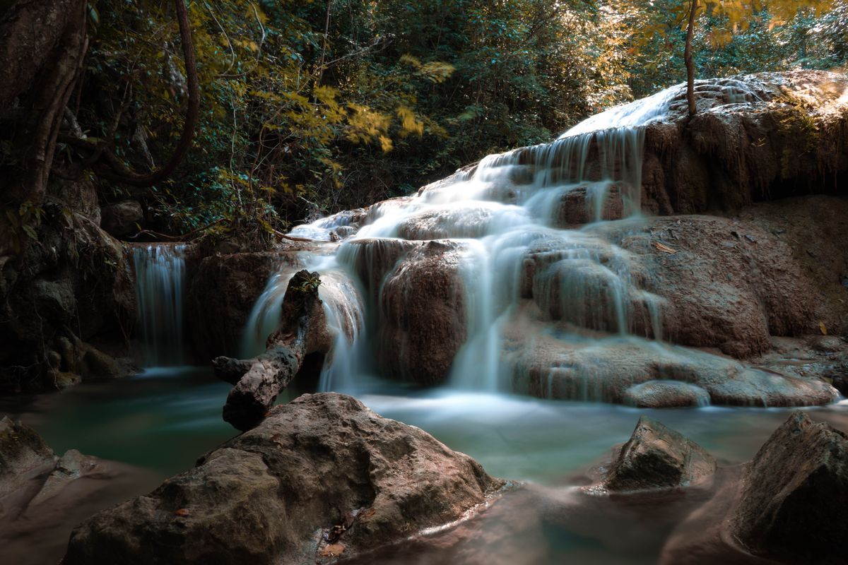 Cascade Forest