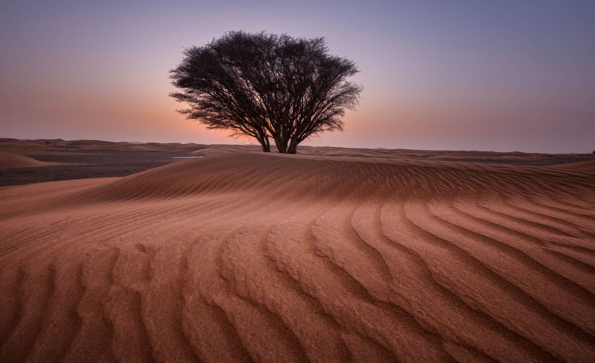 Desert Dune Sunset Inductiebeschermer