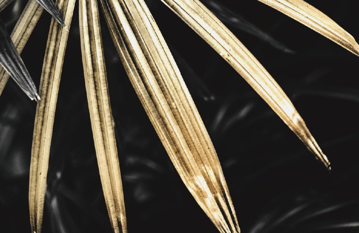 Golden Palm Leaves Inductiebeschermer