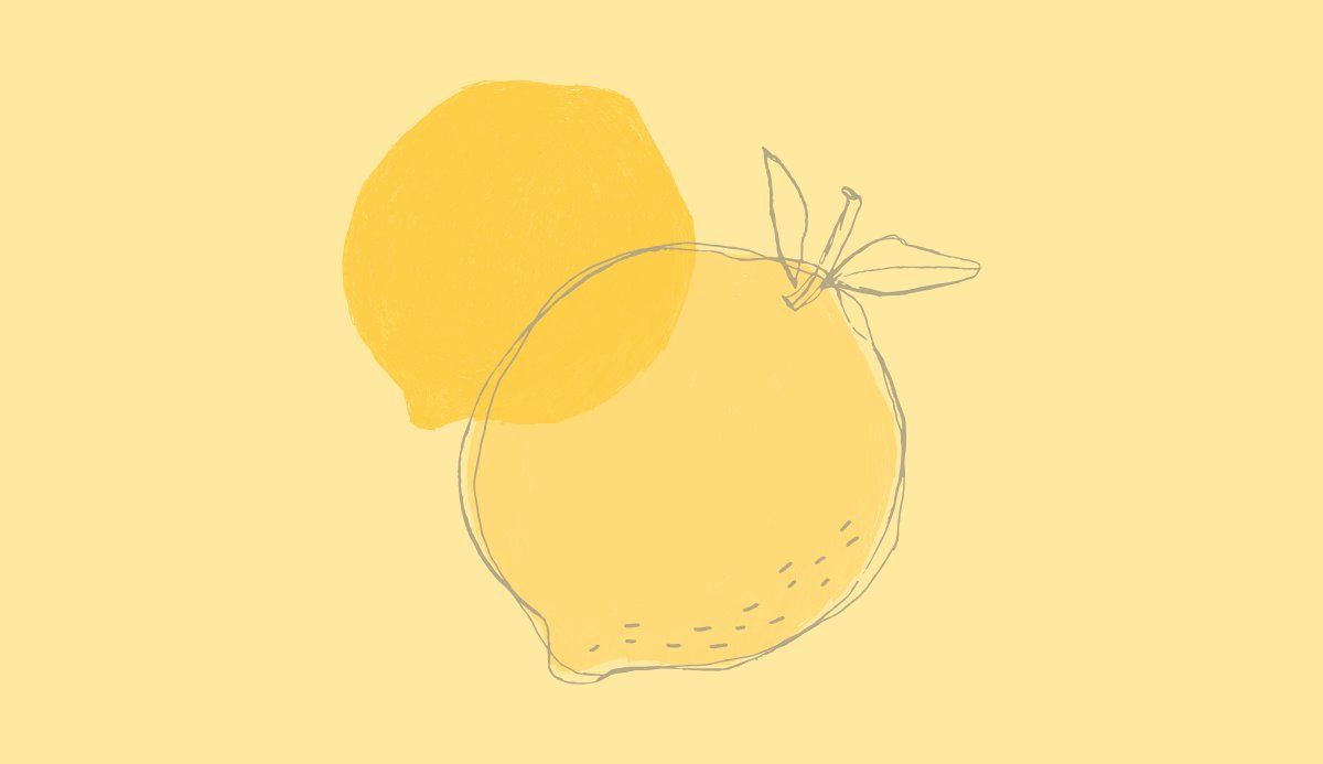 Citrus Sketch Lemon Inductiebeschermer