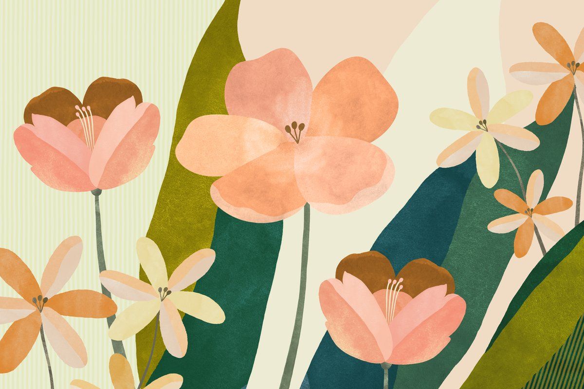 Soft Petals Inductiebeschermer