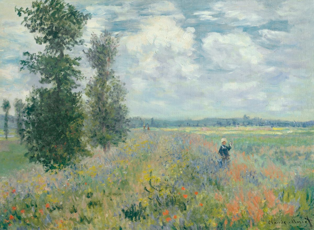 Poppy Field Impressionist Inductiebeschermer