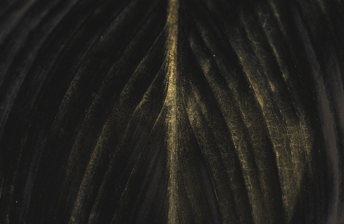 Botanical Gold Vein Inductiebeschermer