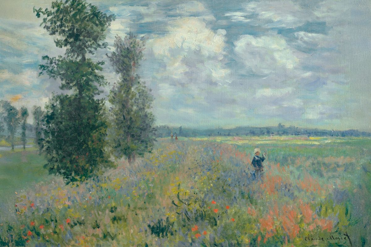 Papaverveld Spatscherm